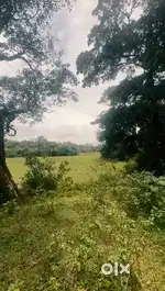 Seven parcels of land, 10 cents each, in a gated community.