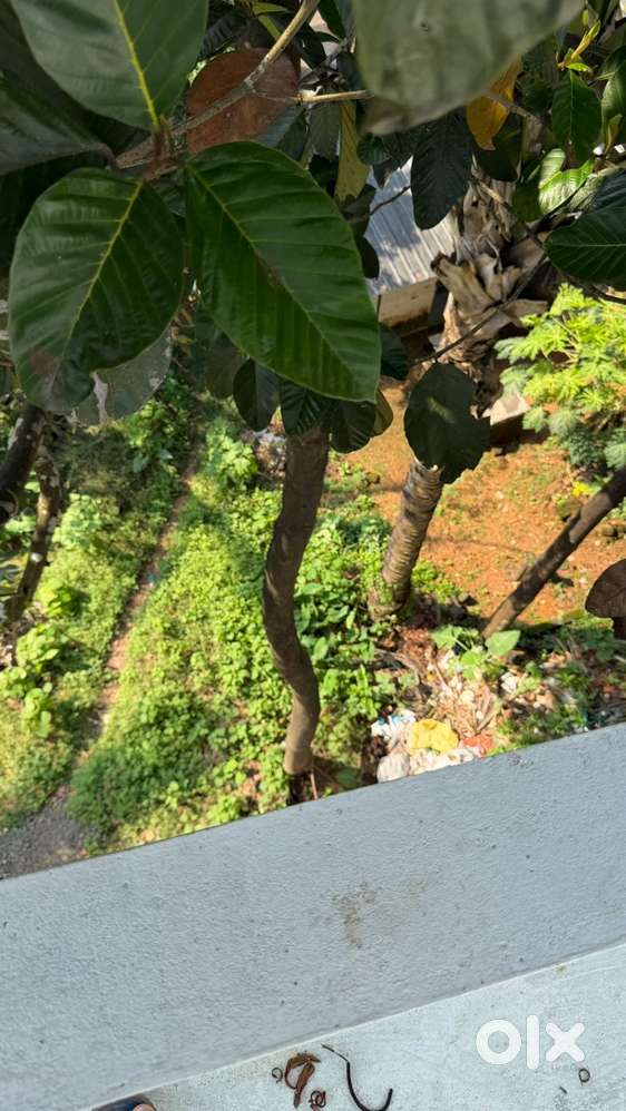 5000 sqft Godown for rent