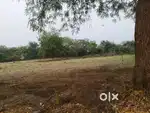 Sale of 300 yards site in Kondapalli near Sai Baba gudi, Vijayawada