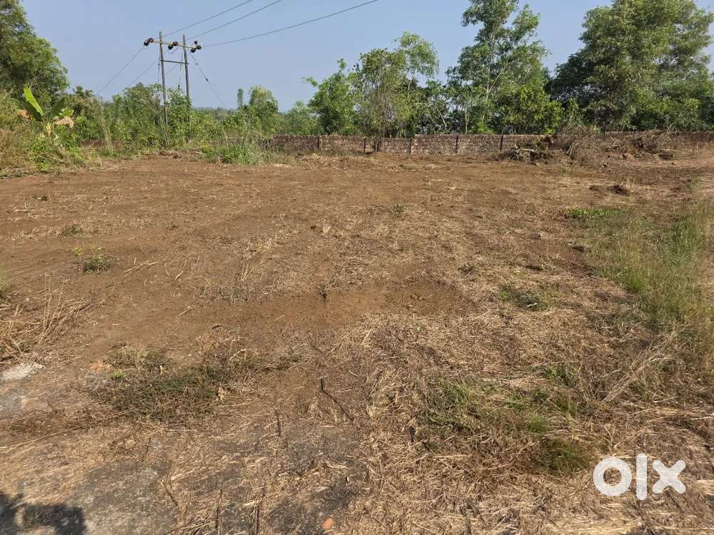 Residential  plot for sale at ambalthara moonamile
