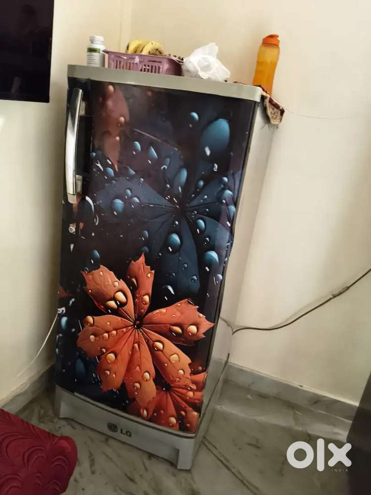 LG Fridge single door