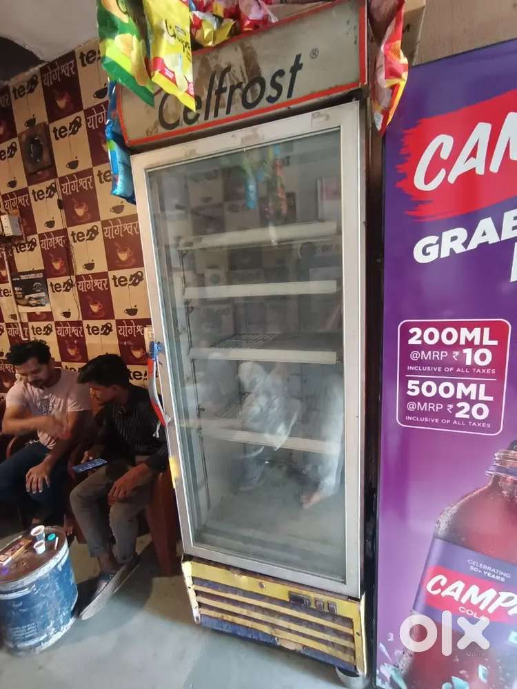 Cooler refrigerator