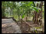 15 cents of land for sale, located about 350 meters from Eravankara Jn