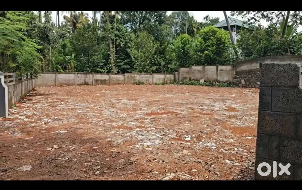 Land For Sale 8 cent in koratty on church road