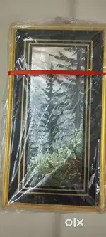Photo frames combos