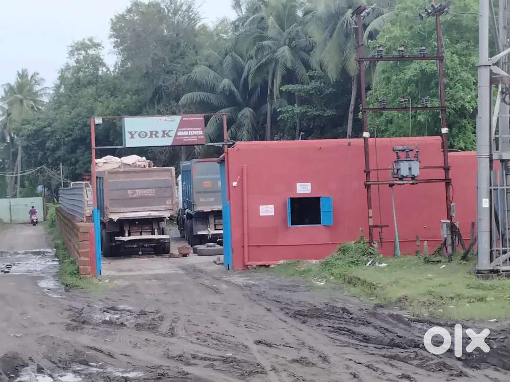 Head Mechanic manguli