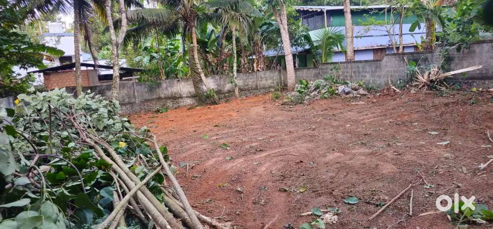 Near Andoorkonam7 cent square plot with compound wall