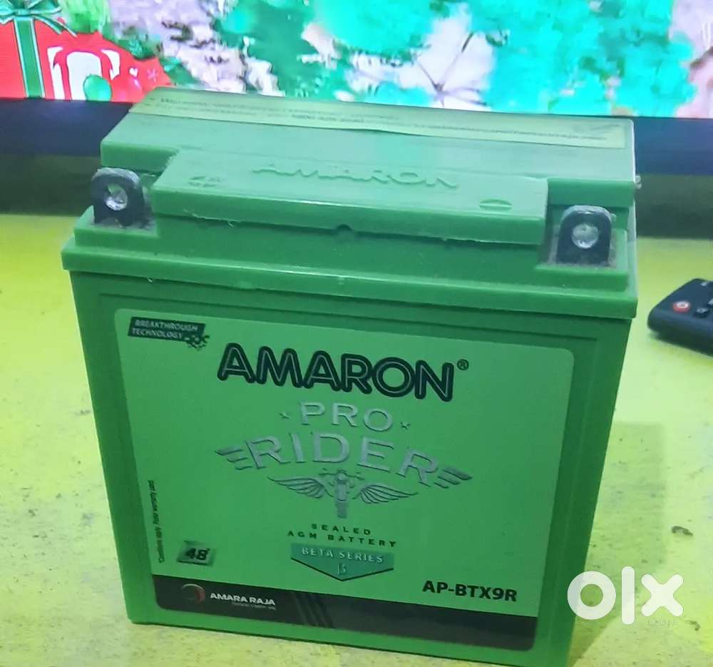 9Lb Bike battery Totally New Battery