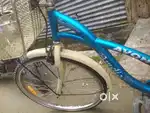 Avon lady  cycle