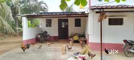 Agriculture land for lease or rent