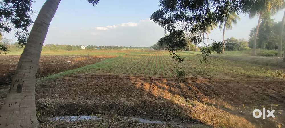 Agriculture lands prime location, for sale at Bakaram village