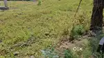 Plot for Sale in Sanjeev Nagar