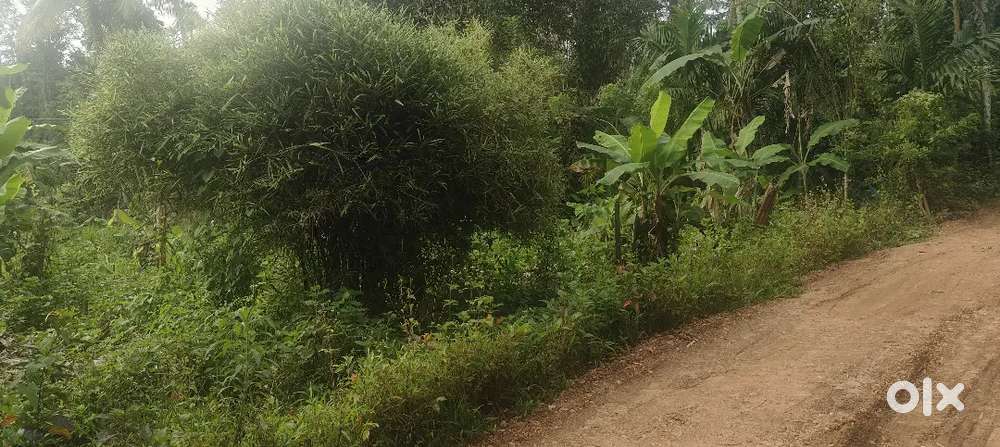 65 cent plot 1300 sqft house for sale