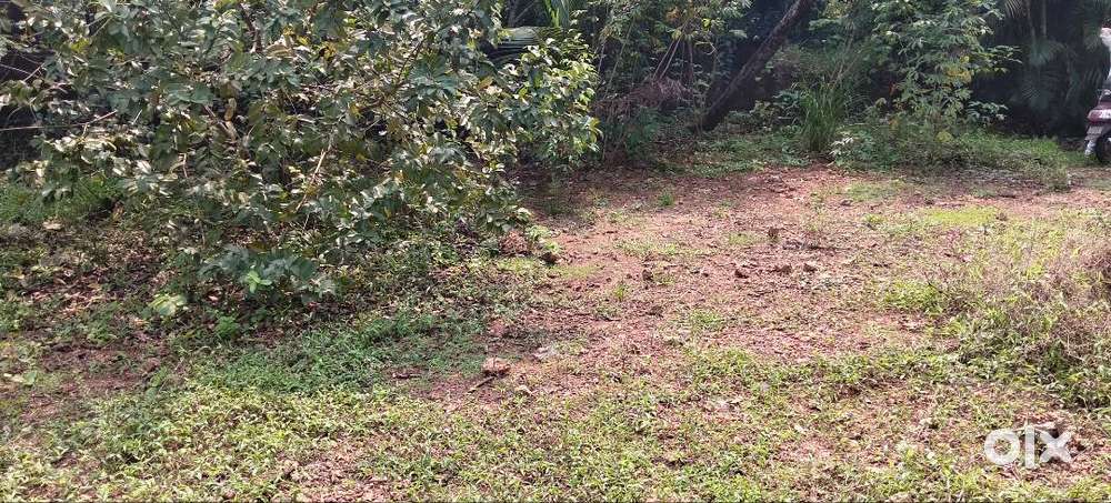 30 cent land for sale near Kannapuram R S