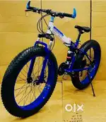 BMW Fat Bike