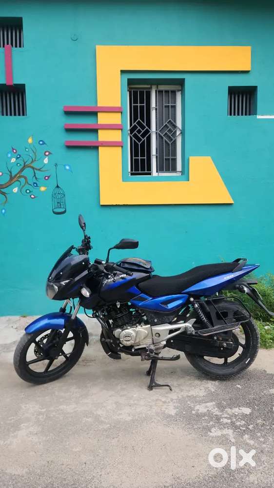 Pulsar 150/2015