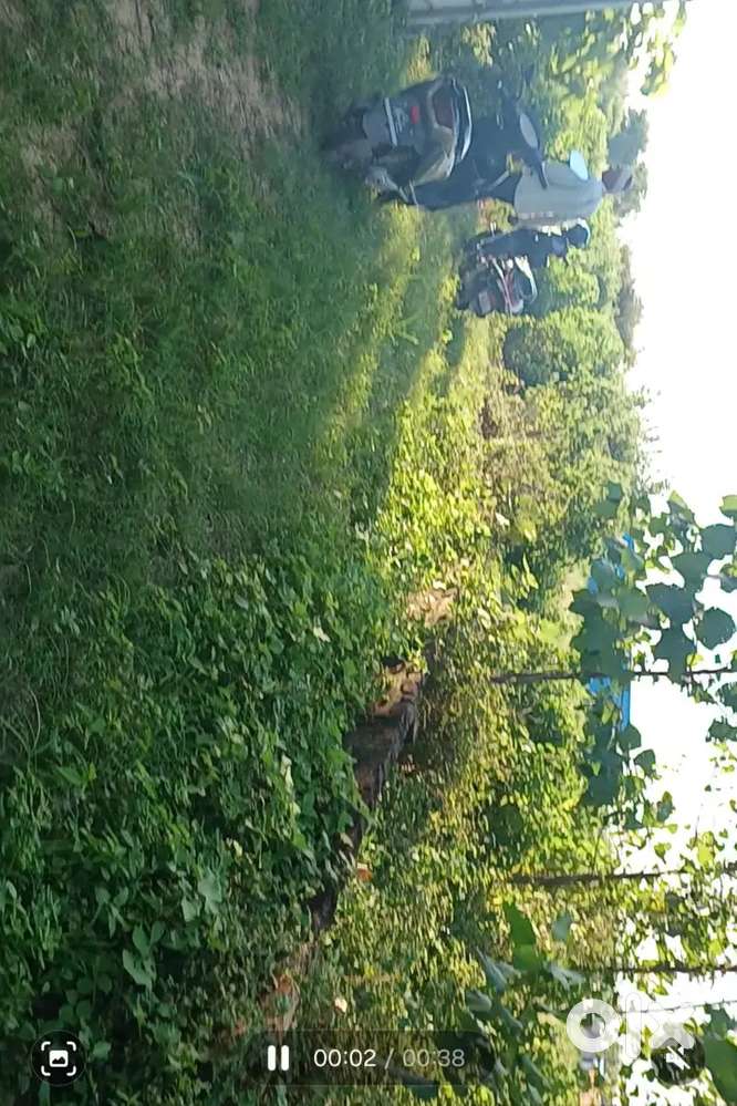 BDA BY PASS NEAR HIGHWAY ON ROAD PROPERTY