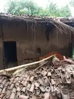 आवासीय प्लाट