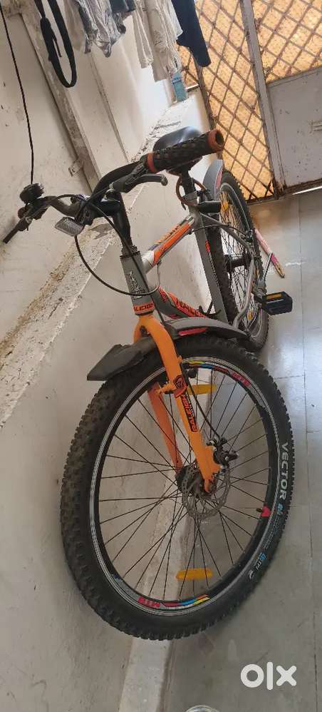 Raleigh (Britan company) bycycle