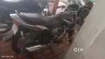 Honda Shine for Sale in excellent condition