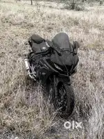 R15 V3 Single Owner 2019 Model