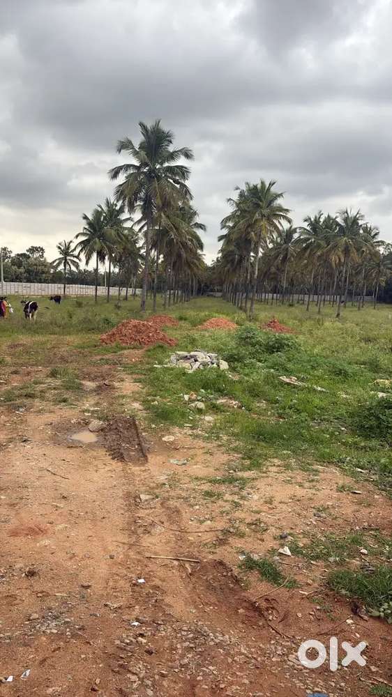 Sadahalli gate 
Opposite to satva apartment 
3.5)
11cr/acre