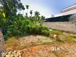 4.850 Cent House plot For Sale @ kuzhivelippadi pukkattupady
