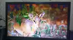 DELL 19 INCH HD MONITOR WITH HDMI AND VGA CABLE