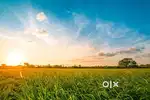25 cents plot for sale .. direct owner .50 mtrs from main road