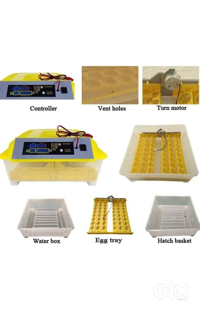 Fully automatic incubator