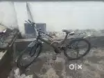 Brand new cycle
