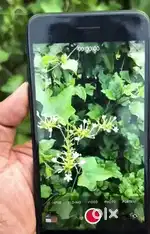 Koi kami nhi ha all ok
