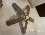 Wooden Ceiling Fan