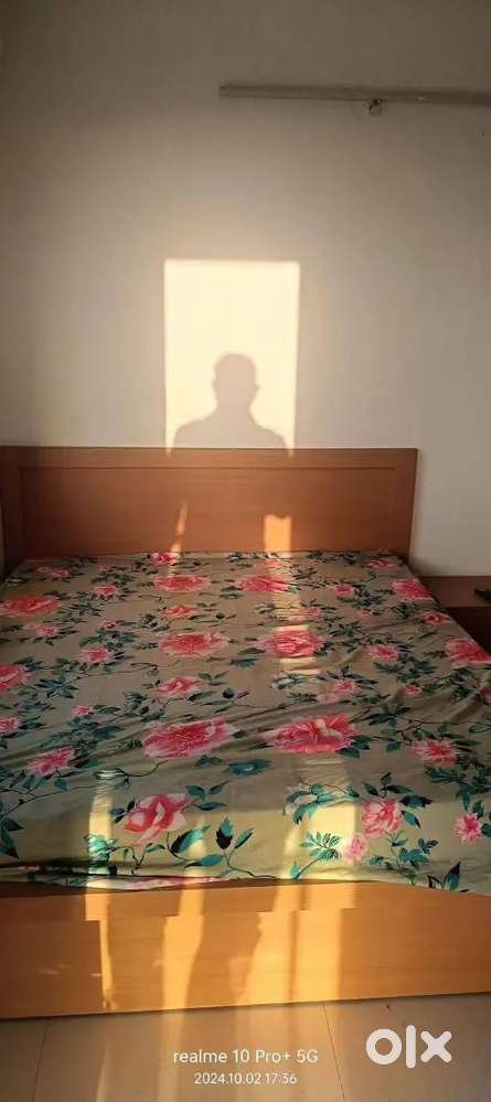 For रेंट 1 BHK flats vaishali nagar