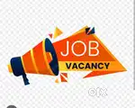 WANTED FIELD EXECUTIVE ALL OVER CHENNAI