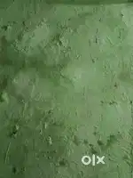 Sharing room rent