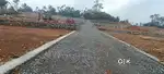 Angamaly elavoor st Mary's Church near by 5,6,8, 10,20, cent plots