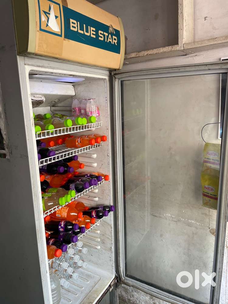 Blue Star, commercial frige , 300 L