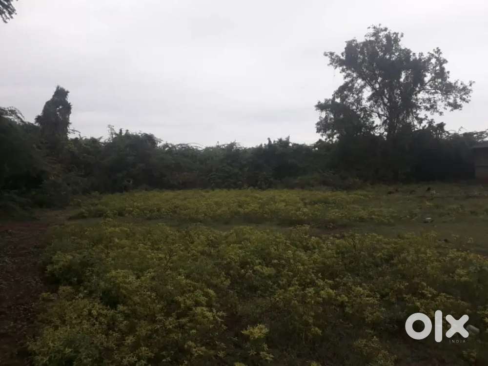 20 cents of land in adavaludeei
