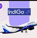 Airport Ground Staff urgent hiring