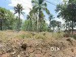 50 cent plot Near Varinjam Mahadeva Temple