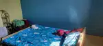 Room partner for boys or girls