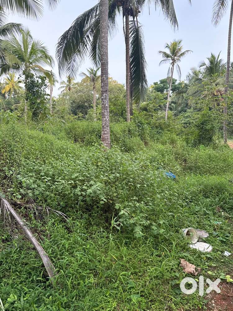 Plot for sale