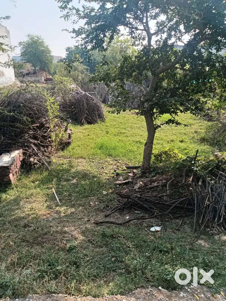 Plot in Bharatpur near by jaat madauli