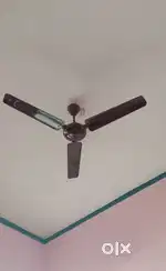 Bajaj celling fan