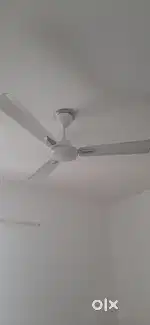 Ceiling Fans for SALE