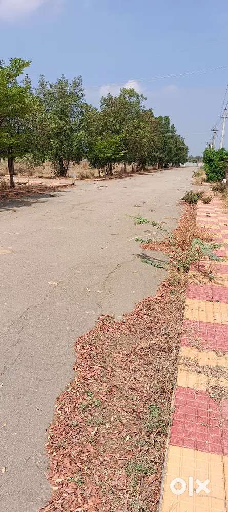 రుద్రారం – పెరం ఆదిత్య మ్యాగ్నస్ ఓపస్ లో HMDA అప్రూవ్డ్ 211 చదరపు గజాల