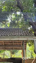 7 bedroom 4 bathroom 20 cent സ്ഥലം, എല്ലാ വിധ ഫല വൃക്ഷങ്ങളും