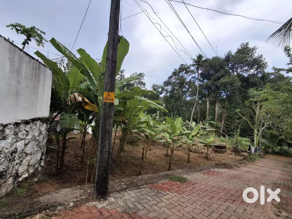 6 Cent land for Sale