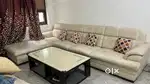 Premium Sofa set raxin